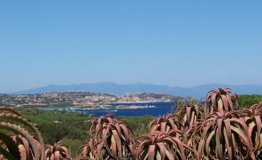 Sardinië.nl