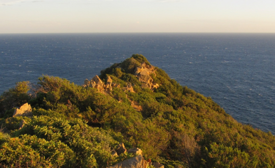 Sardinië.nl