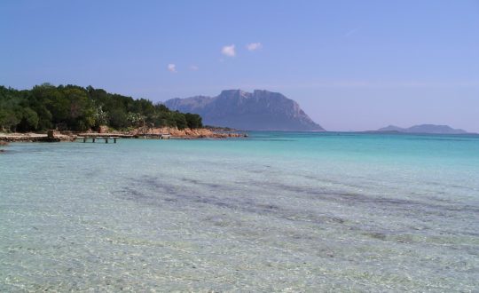 Sardinië.nl