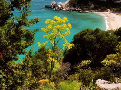 Sardinië.nl