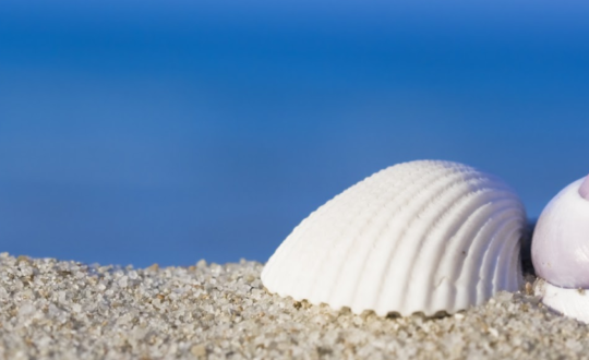 Stukje Sardijns strand meenemen? Boete!