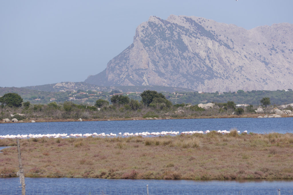 Tavolara Sardinië