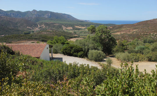 Fighezia - Sardinië.nl