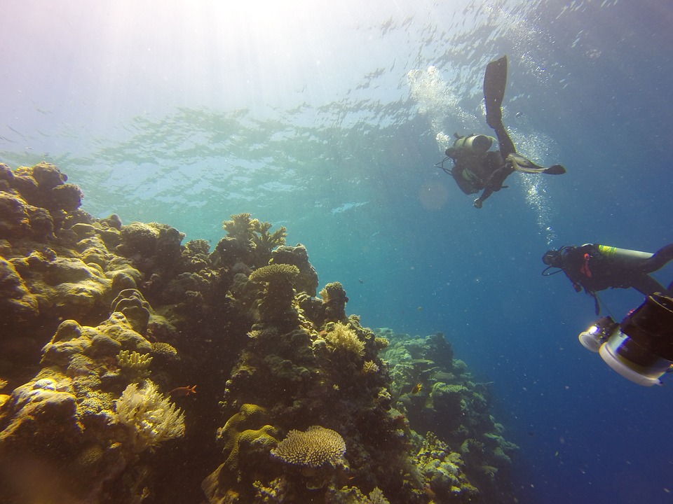 stedentrip naar palau