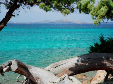 Bucketlist idee: een eigen duikschool starten op Sardinië