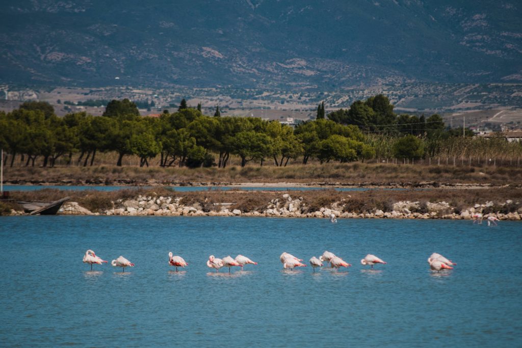 De must-sees poetto beach